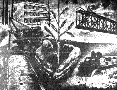 Примутся елочки или нет это другой вопрос Скорее всего не примутся далеко - фото 88
