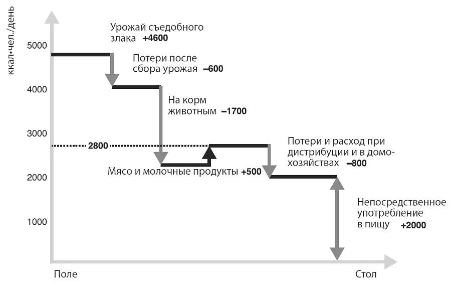 Схематическое изображение объема мирового производства продовольствия начиная - фото 19