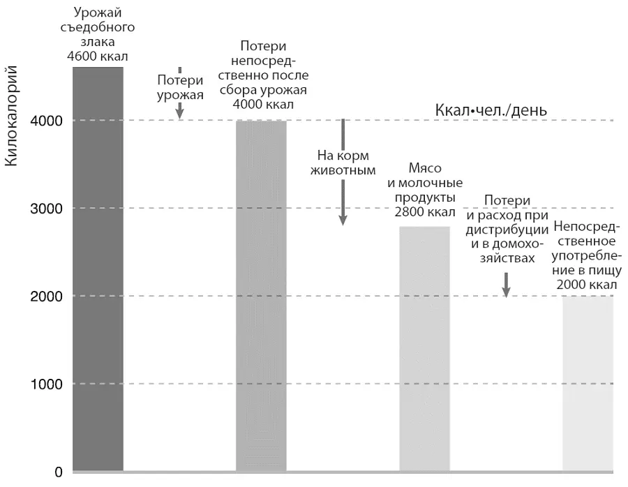 Потери в цепочке поставок продовольствия на пути от поля к домохозяйству Более - фото 20