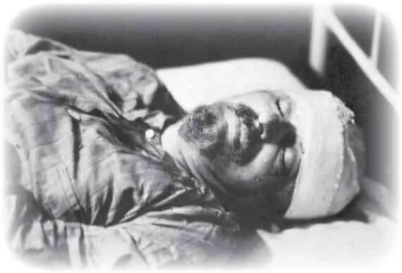В лице Каменева и Зиновьева Иосиф Сталин со свойственной ему подозрительностью - фото 50