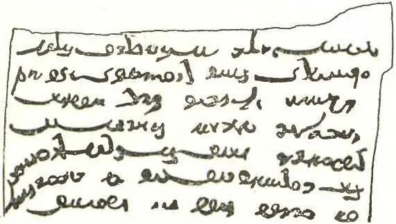 Согдийская рукопись на коже Осенью 1933 года на гору Муг прибыла - фото 61