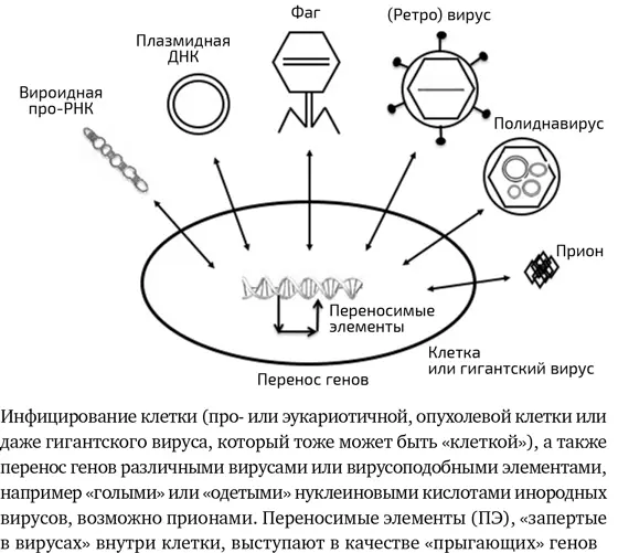 Враг моего врага мой друг Неизвестно руководствовался ли этим принципом - фото 11