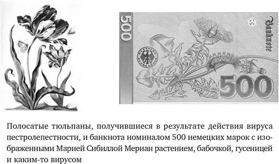 9 Вирусы и противовирусная защита Быстрая и медленная защита Практически - фото 21