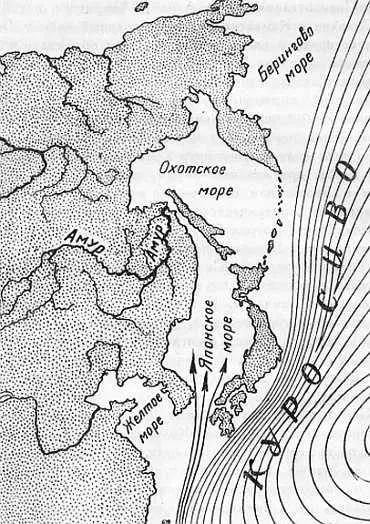 Рис 119 Теплое тихоокеанское течение КуроСиво Наконец недавно геофизик - фото 106