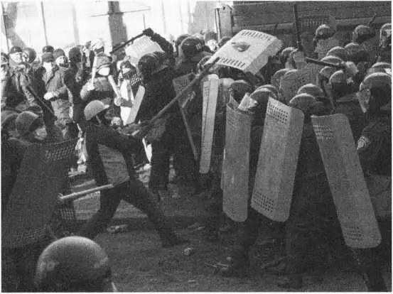 Во время проведения в указанном парке несанкционированного митинга игнорируя - фото 31