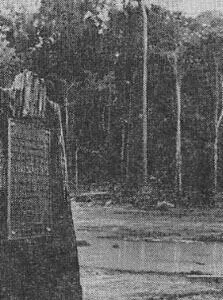 Мемориальная доска в Алтамире Сеньоры торжественно сказал Журандир мы - фото 48
