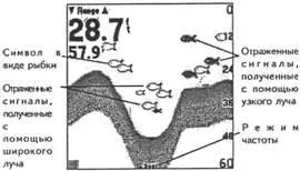 Рис 28Изображение символов на экране двухлучевых эхолотов Однако не следует - фото 28