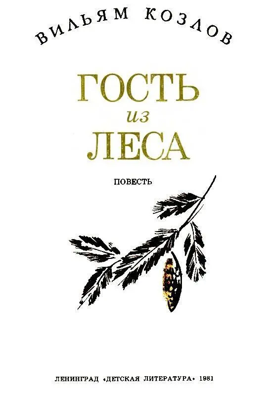 1 ТРИШКИНА БЕДА Из леса вышел небольшой медведь и остановившись на опушке - фото 2