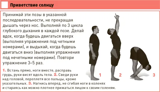 Проект Better Man 2476 способов прокачать здоровье форму карьеру и секс - изображение 100