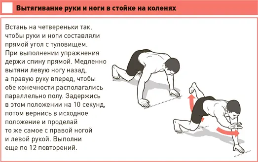 2 Защити свою спину от перегрузок на тренировках При тренировке опорной - фото 104