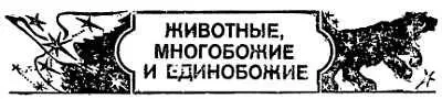 Дветри тысячи лет до н э в эпоху родового строя и возникновения - фото 5