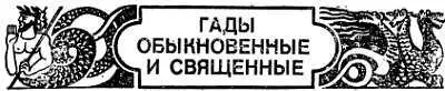 При чем тут гады удивится читатель Действительно книга о животных а - фото 7