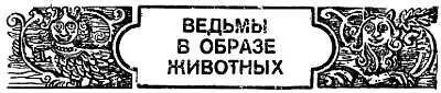 Кто читал повесть Н В Гоголя Вий помнит как учащийся Киевской семинарии - фото 18