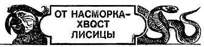 Русская императрица Анна Иоанновна в последние годы жизни страдала от болезни - фото 23