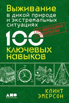 Клинт Эмерсон - Выживание в дикой природе и экстремальных ситуациях. 100 ключевых навыков по методике спецслужб