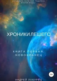 Андрей Лобурец - Хроники Лешего. Книга первая. Новобранец