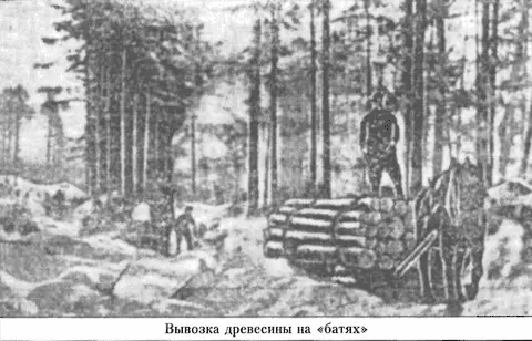 Единичный факт не заслонял общую картину бедствий Начальник бондарного цеха на - фото 54