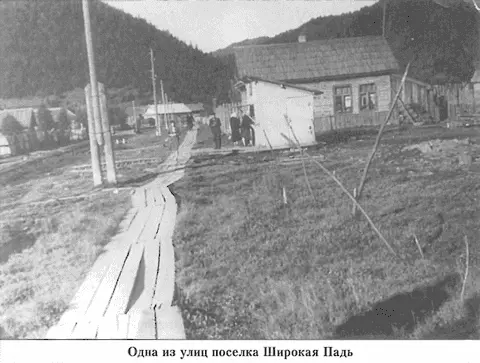 Ребята были общительными компанейскими потому что в их доме всегда жили то - фото 75