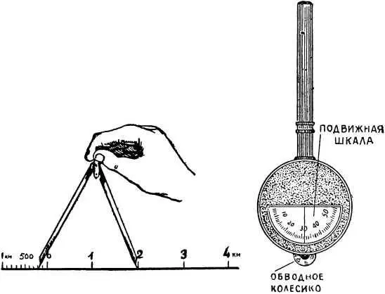 Линейный масштаб слева Курвиметр справа На рисунке изображен линейный - фото 2