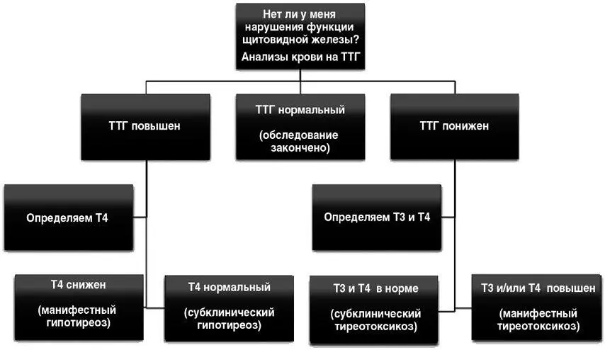 Субклинический гипотиреоз в большинстве случаев лечения не требует необходимо - фото 66