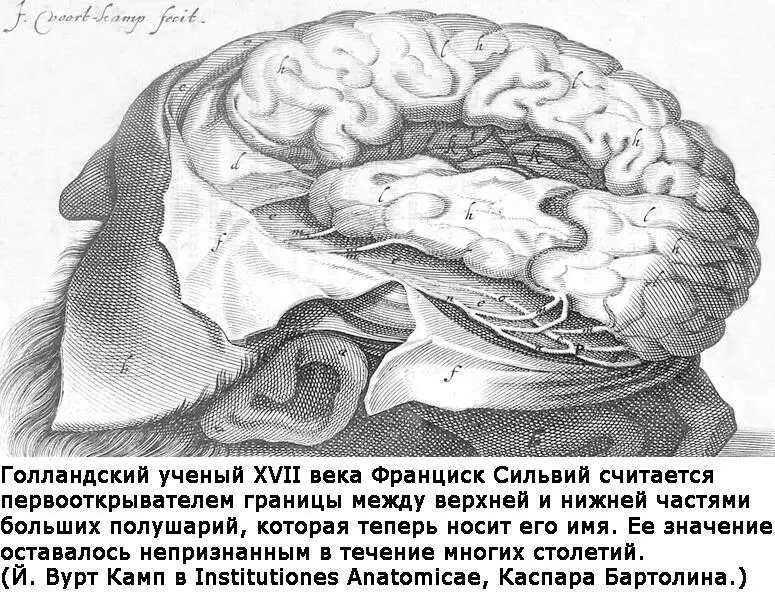 Гравюра XVII века повидимому является первым изображением Сильвиевой щели - фото 6