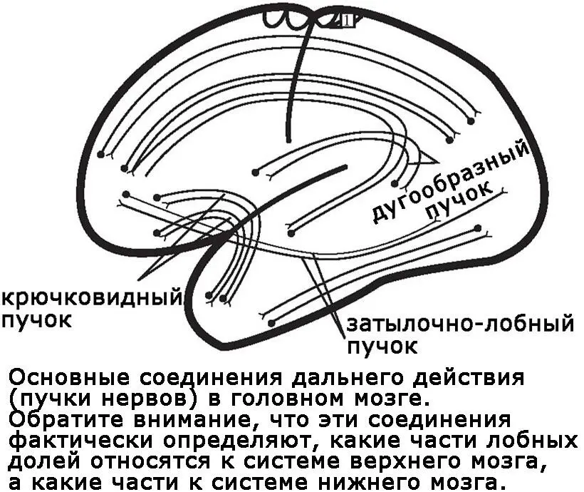 Следует отметить один из аспектов который на первый взгляд противоречит нашей - фото 8