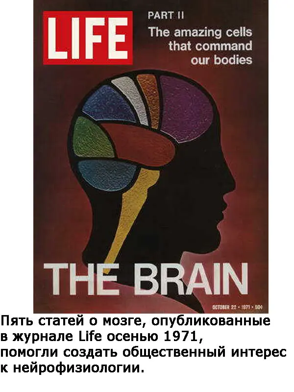 Это самая высокоорганизованная материя во Вселенной эти три фунта эта - фото 14
