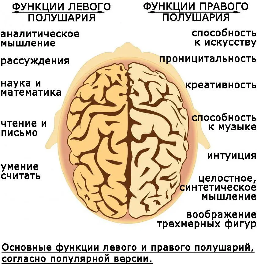 И похоже пользу можно извлечь для всех возрастов Игрушки и DVDдиски могут - фото 15