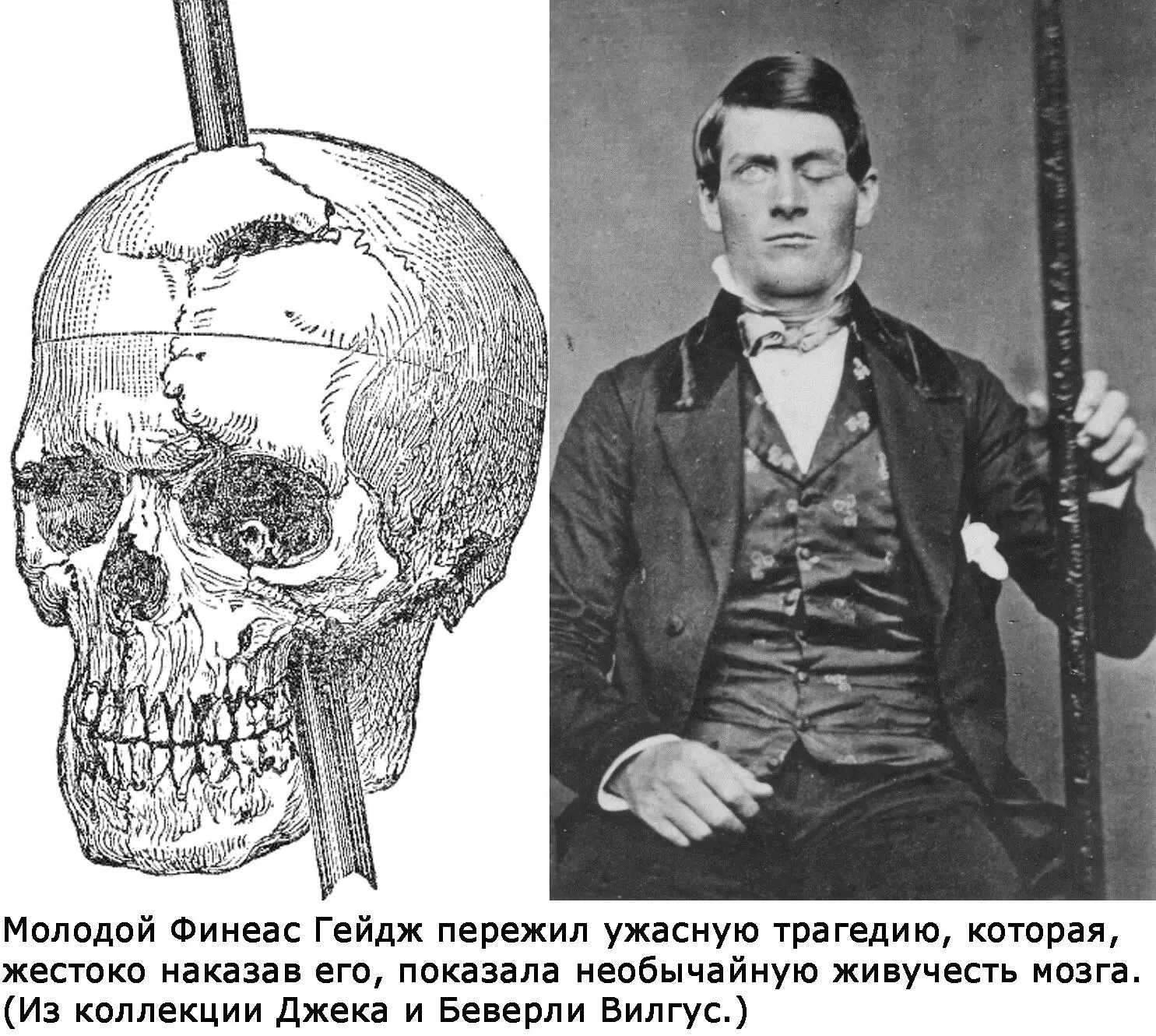 По аналогии Ричард Грегори в 1961 году 50 R L Gregory The Brain as an - фото 16
