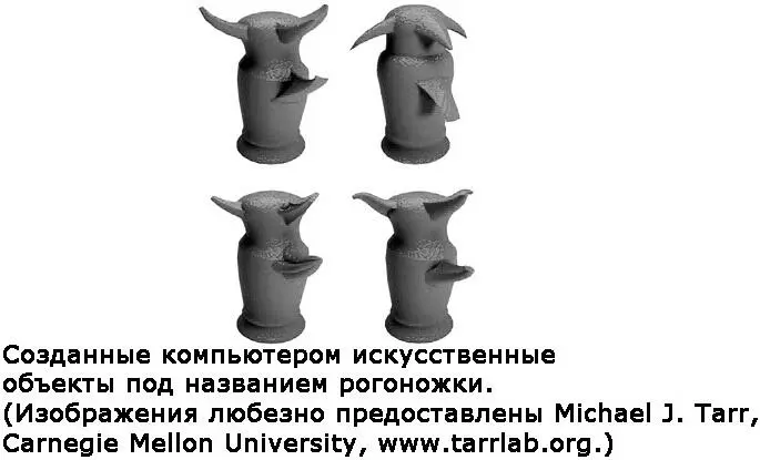 Самым важным в экспериментальном дизайне было то что в некоторых парах один - фото 25