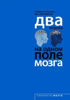 Стивен Косслин - Два игрока на одном поле мозга