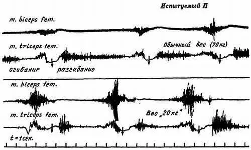 Рис 32 Изменение электромиограммы у испытуемого II при сгибании и разгибании - фото 28