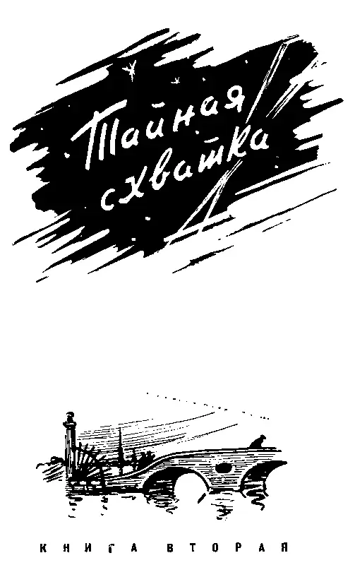 ТАЙНАЯ СХВАТКА КНИГА ВТОРАЯ 1 Странная находка Трамвай переехал мост и - фото 24