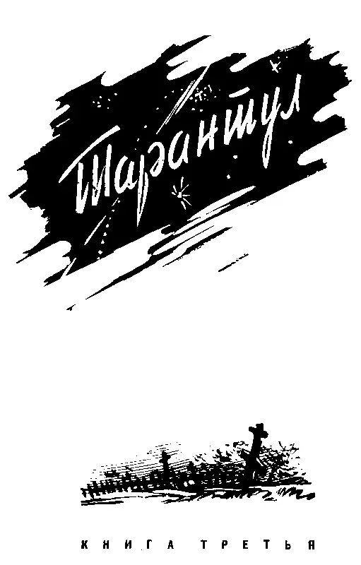 ТАРАНТУЛ КНИГА ТРЕТЬЯ 1 Рыбак В холодном воздухе носилась водяная пыль и - фото 45