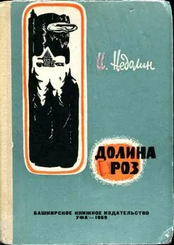 Иван Недолин - Долина роз [Приключенческая повесть]