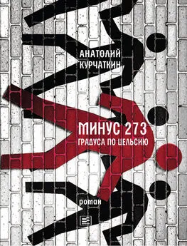 Анатолий Курчаткин - Минус 273 градуса по Цельсию