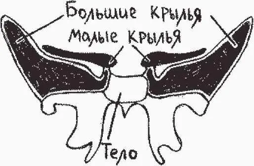 рисунок 9б рисунок 10а рисунок10б - фото 16