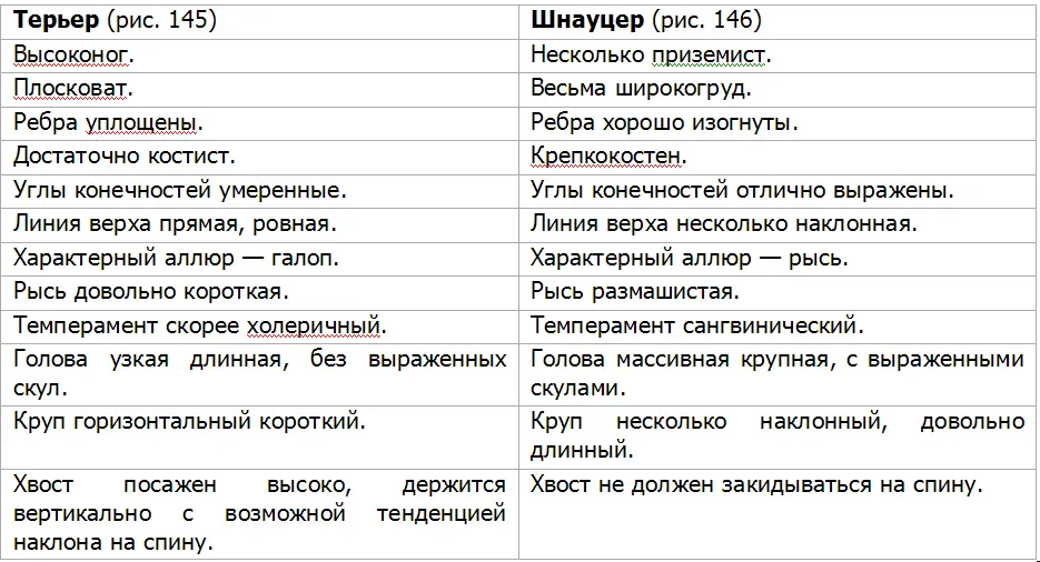 Экстерьер собаки и его оценка - фото 153