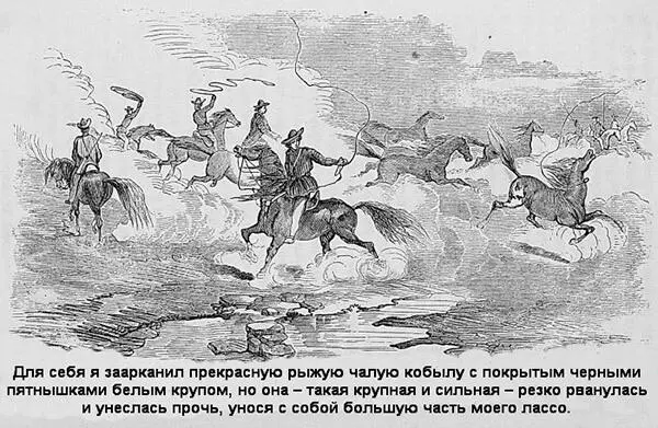 Мы видели как по прерии на полной скорости скачут дикари но они не видели - фото 6