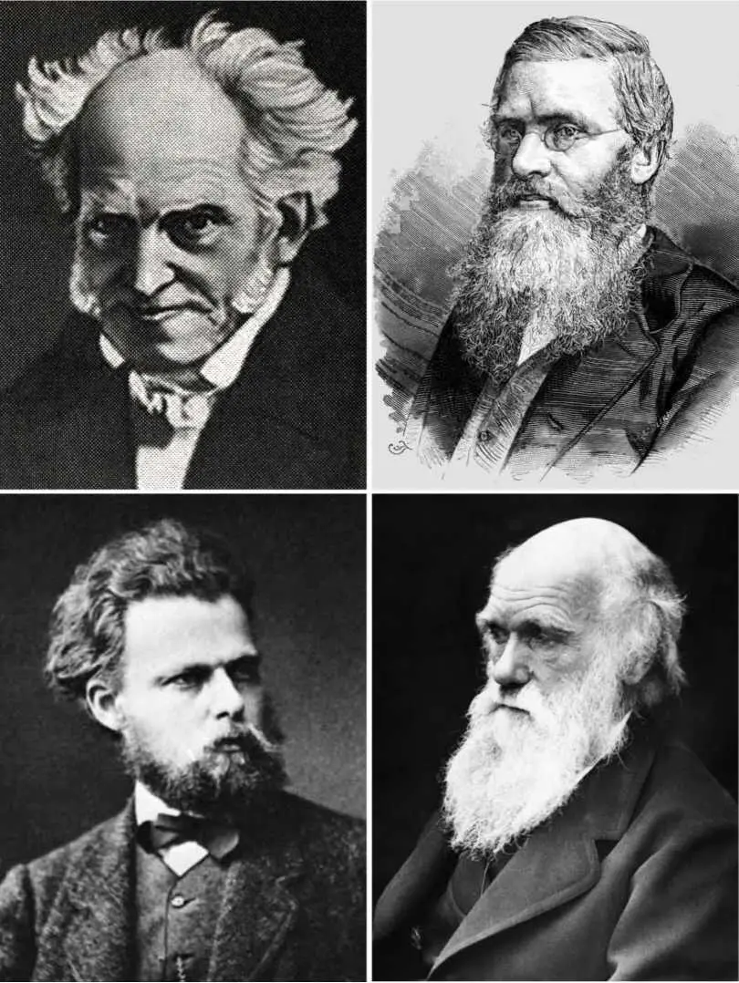 Рис II11Эволюционисты и философы XIX в Верхний ряд Артур Шопенгауэр - фото 8