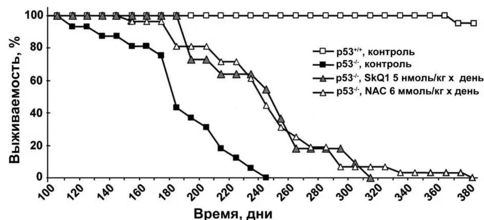 Рис II731Сравнение действия SkQ1 и неадресованного антиоксиданта - фото 32