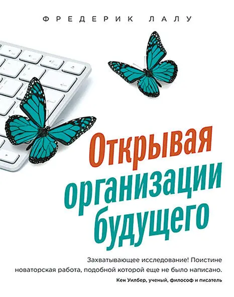 Оригинальное названиеReinventing Organizations A Guide to Creating - фото 23