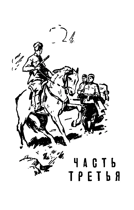 ЧАСТЬ ТРЕТЬЯ 1 То над чем я упорно думал все эти дни начало осуществляться - фото 14