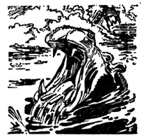 Глава из книги Перевод с немецкого М Чистяковой Рис Г Чижевского - фото 44