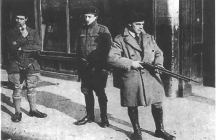 Рис 16 Группа из трех Чернокоричневых в Ирландии Чернокоричневые - фото 16