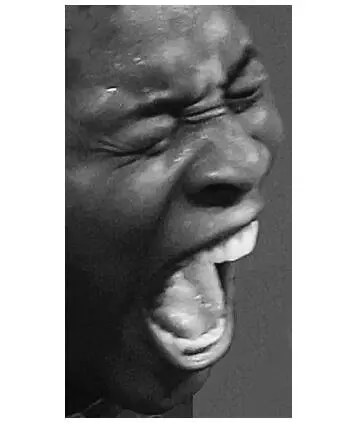 Рис 31Ощущение ужаса на лице женщины За исключением того что она не - фото 9