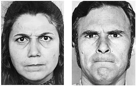 Рис 34Метод базовых эмоций без использования слов Выражают ли эти лица одну - фото 12