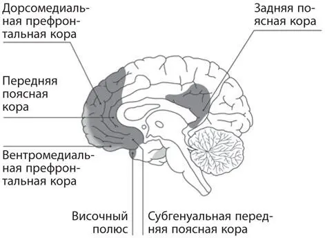 Рис Г1Сеть пассивного режима работы которая находится внутри - фото 40