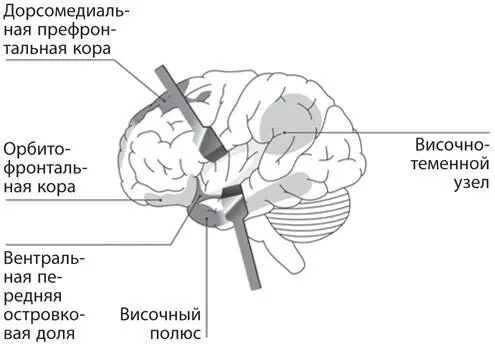 Рис Г1Сеть пассивного режима работы которая находится внутри - фото 41