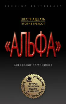 Александр Тамоников - Шестнадцать против трехсот